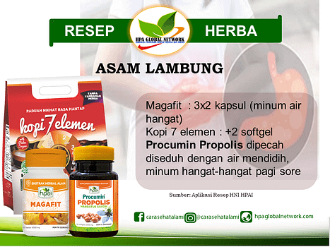 Resep Asam Lambung Hpai Pengobatan Asam Lambung Hni