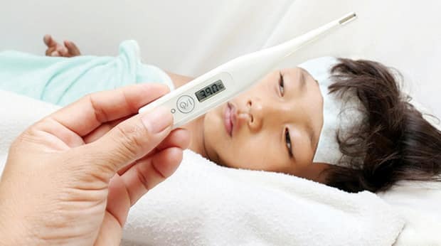 Resep Herbal Demam Berdarah HNI HPAI