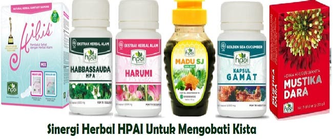 sinergi herbal HNI HPAI sebagai obat penyakit kista