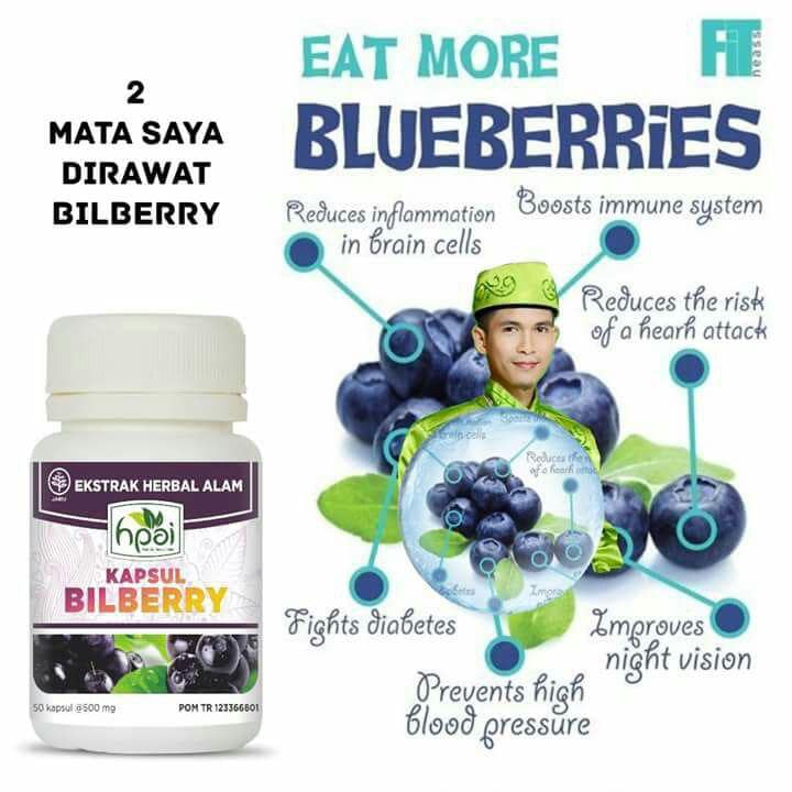 Contoh Copywriting Untuk Promosi Produk HNI HPAI ( Bilberry) HPA